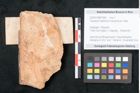 Foto (Objekt + Etikett) von Taxodium distichum miocenicum Heer (NHMW-GEO-2024-0188-7945)